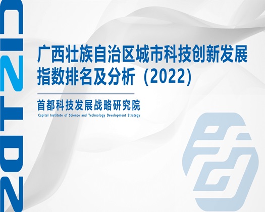 最新日韩岛国入口【成果发布】广西壮族自治区城市科技创新发展指数排名及分析（2022）